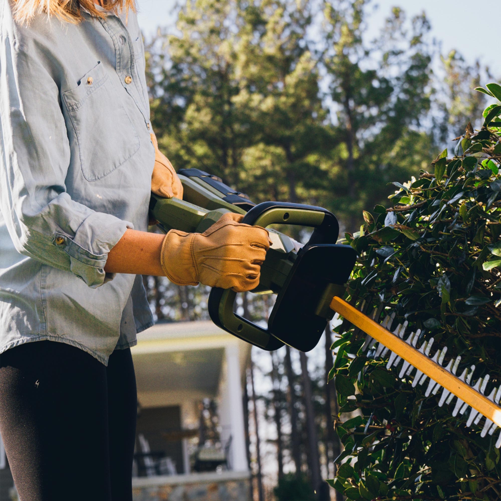 62V Cordless 25" Hedge Trimmer with 2.5 Ah Battery and Rapid Charger